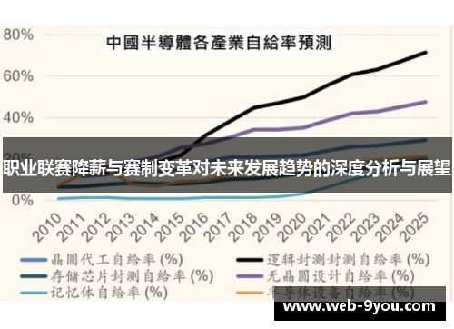 职业联赛降薪与赛制变革对未来发展趋势的深度分析与展望