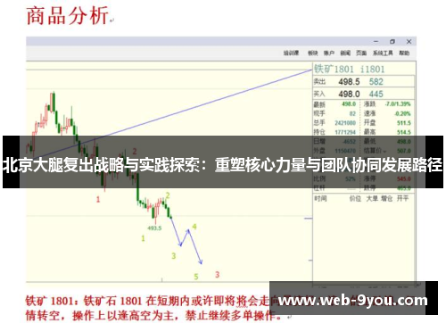 北京大腿复出战略与实践探索：重塑核心力量与团队协同发展路径