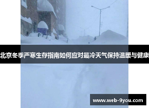 北京冬季严寒生存指南如何应对最冷天气保持温暖与健康